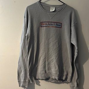 Birds aren’t real eat 1976 comfort wash sweatshirt